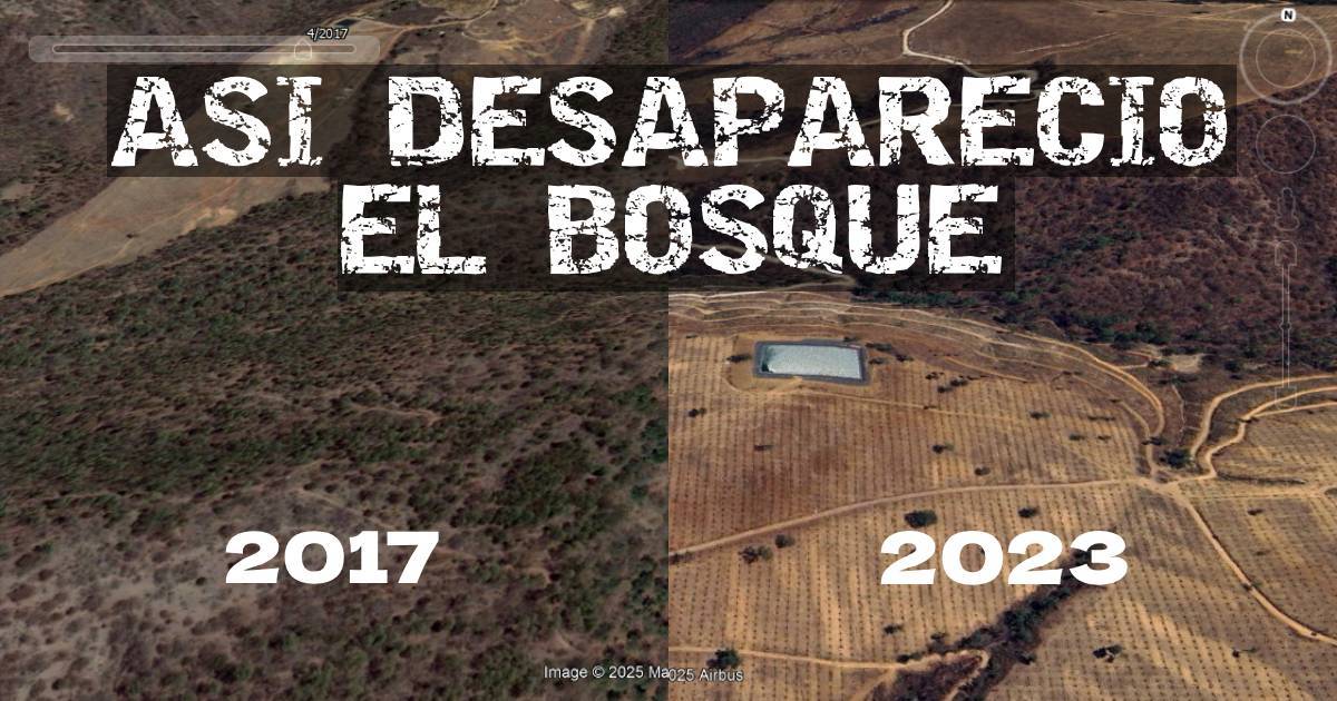 El Suspicaz Noticias del sur de Jalisco, Inicio